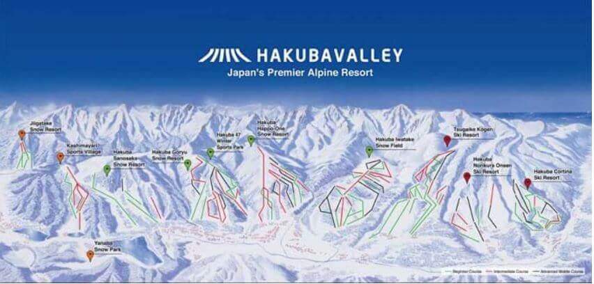 ふるさと納税　HAKUBA VALLEY 9スキー場共通1日券（2枚）